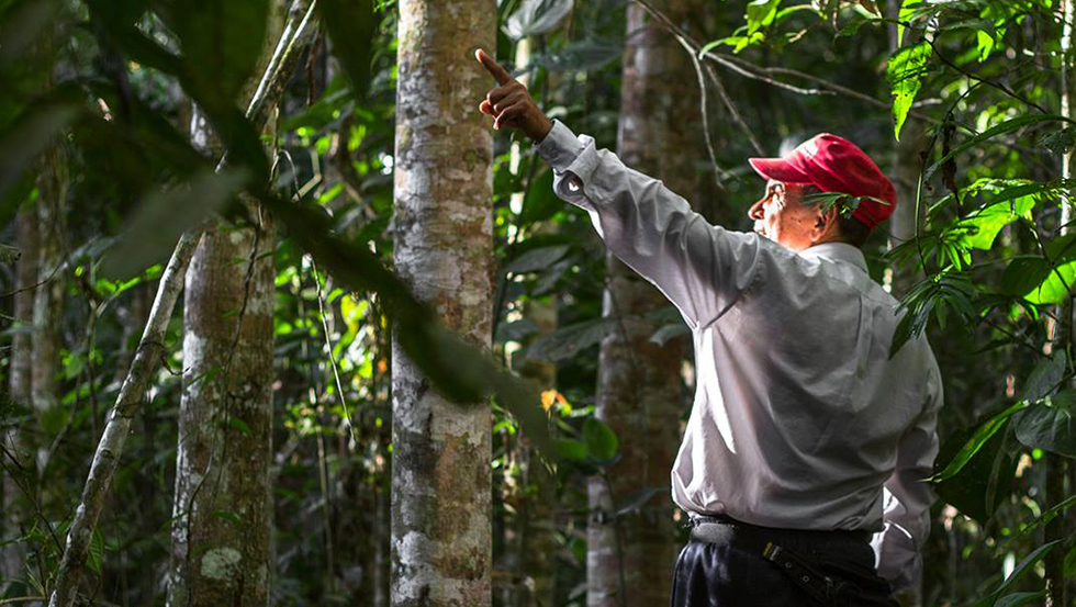 Peru-sostenible_ODS-Recuperacion-suelos-amazonicos-biodiversidad-AMPA_Destacada-Abridora_AMPA-PERU-FOTOS-FB
